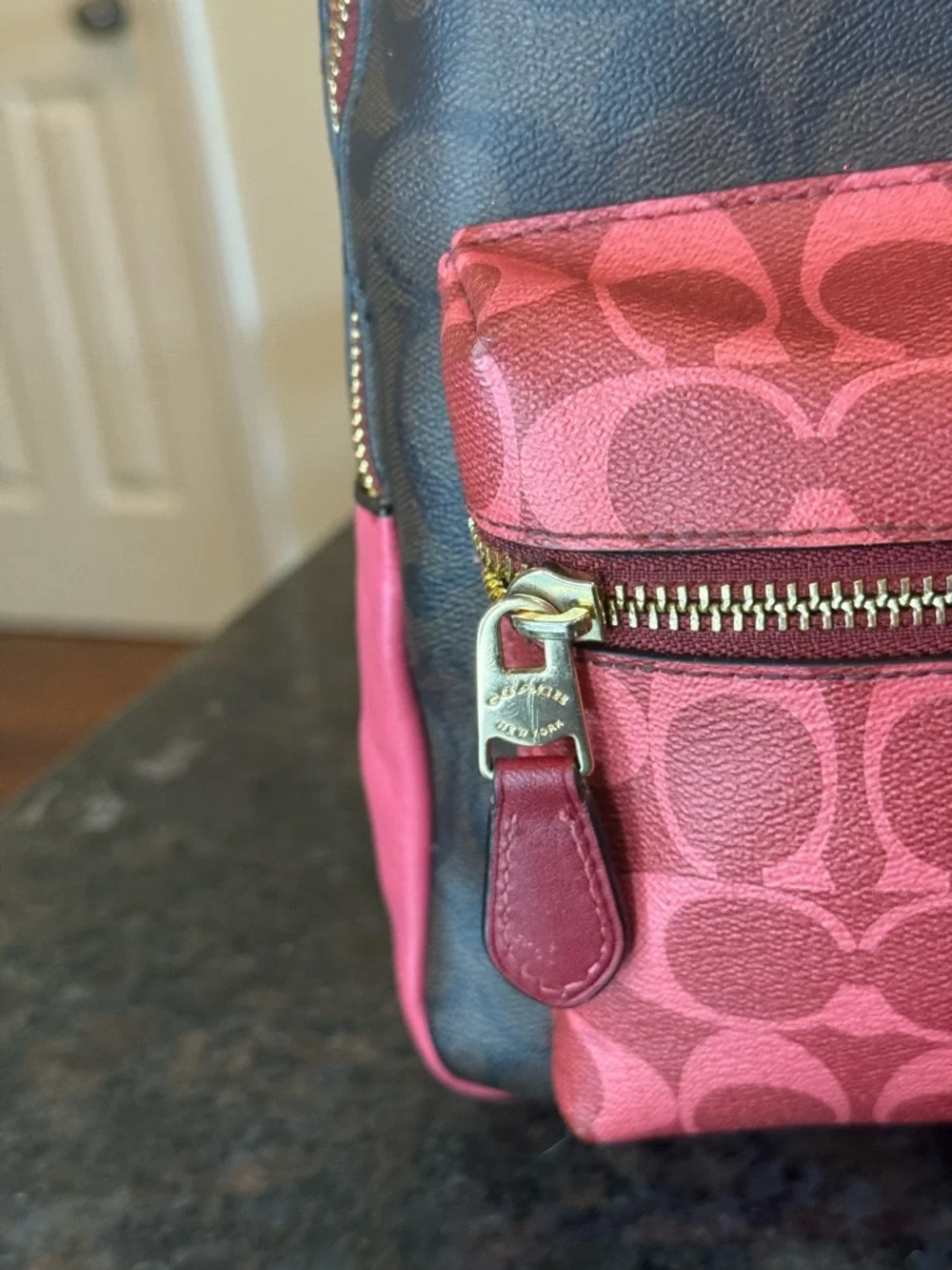 Coach Brown and Pink Signature Backpack